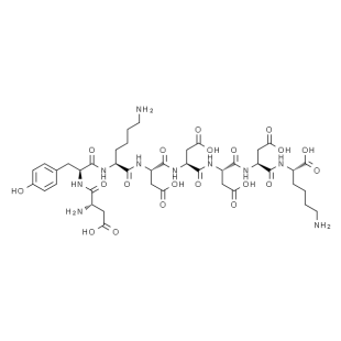 CAS  98849-88-8	FLAG peptide