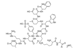 CAS  9011-97-6	Cholecystokinin缩胆囊素